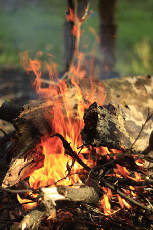 A vertical closeup of a campfire under the sunlight at daytime