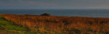A panoramic shot of the dry grass on the coast at Coruna, Galicia, Spain