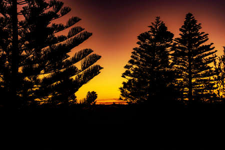 A silhouette of trees with beautiful scenery of sunset and an orange sky in the backgroundの写真素材