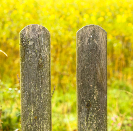 A closeup shot of a portion of a wooden fence with greenery in the backgroundの写真素材