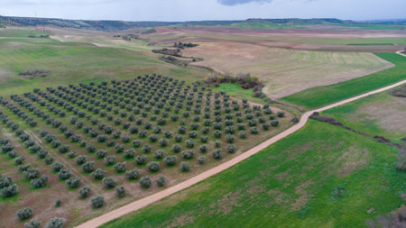 An aerial shot of farm fields in the countrysideの写真素材