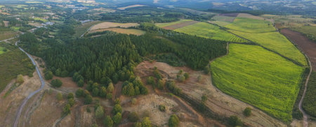 An aerial shot of grassy fields with trees in Galicia, Spain