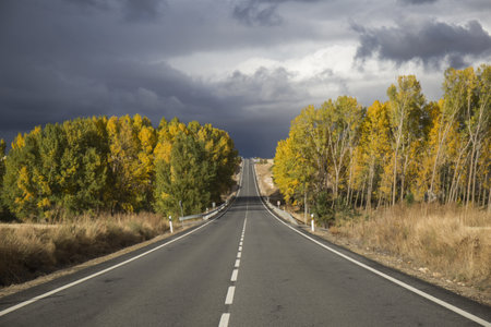 landscape of a deserted highway a stormy day, dark clouds and trees on the sidesの写真素材