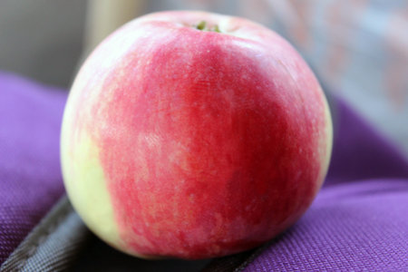 A closeup shot of a red and green apple on a purple background
