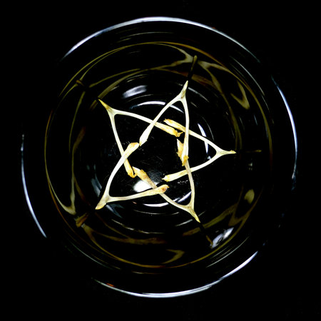 Five wishbones in star shap reflecting in a black bowl.の写真素材