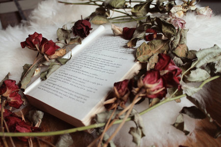 A closeup shot of an open book decorated with dried flowers