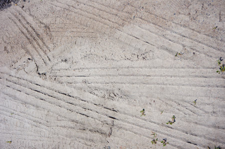 An overhead shot of a sandy surface with tire marks and small stemsの写真素材