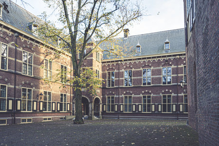 A backyard of a building with a tree during daytime