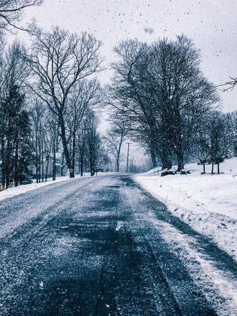 A vertical shot of a street surrounded by trees covered in snowの写真素材