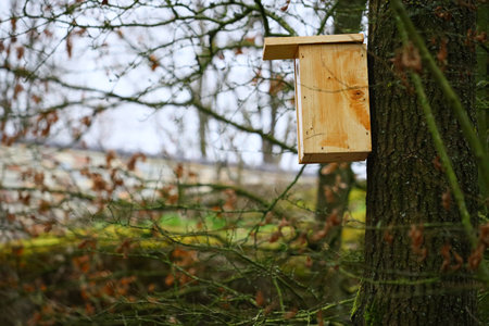 A selective focus shot of a wooden birdhouse attached to a tree