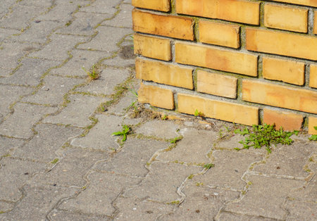 A closeup of the corner of a brick building with concrete brick pavementの写真素材