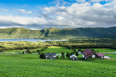 A high angle view of a scenic small village along the Oslo-Bergen railway surrounded by the beautiful natural landscape of southern Norwayの写真素材