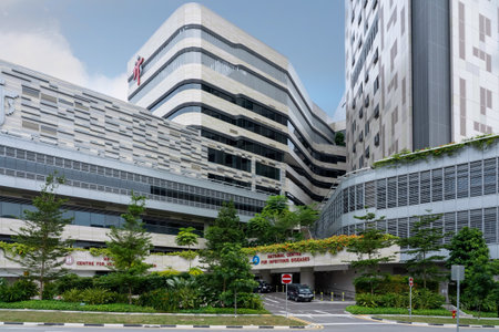SINGAPORE, SINGAPORE - Feb 08, 2020: Singapore, Singapore - February the 8h, 2020 : view of Tan Tock...