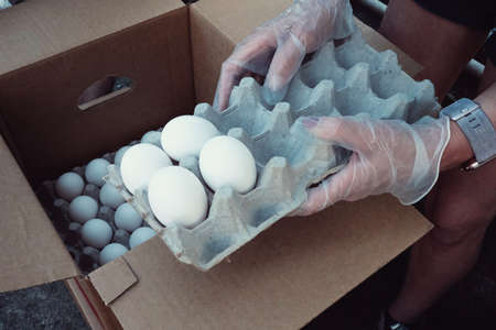 A person in disposable gloves holding a tray with white eggsの写真素材