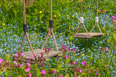 A closeup shot of the two wooden swings in a field with colorful flowersの写真素材