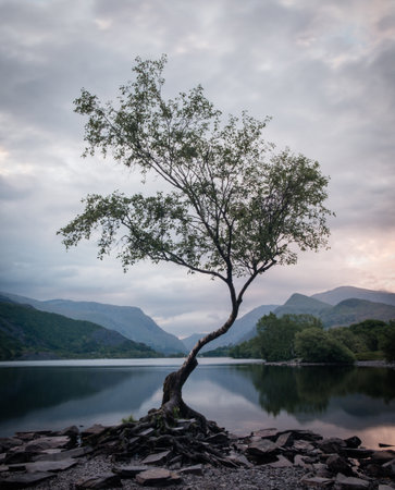 An incredible vertical shot of a lonely tree growing by the lakeshoreの写真素材