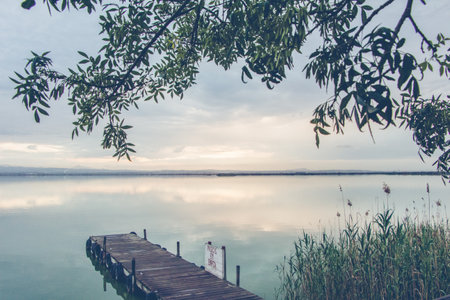 A beautiful scenery of a wooden dock by the sea surrounded by green plantsの写真素材