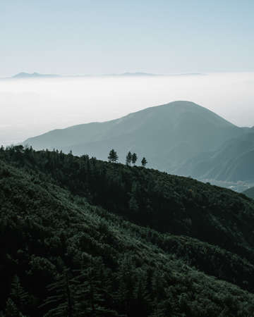 A majestic view of a forest surrounded by mountains in Big Bear, Californiaの写真素材