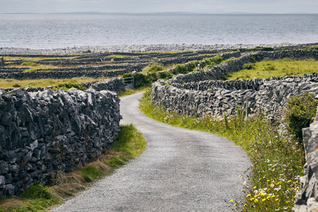 A pathway in Inisheer surrounded by rocks and the sea under the sunlight in Irelandの写真素材