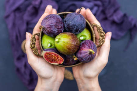 A closeup shot of a person holding fresh figsの写真素材