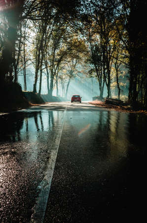 A vertical shot of a car on the road surrounded by trees in the darkの写真素材
