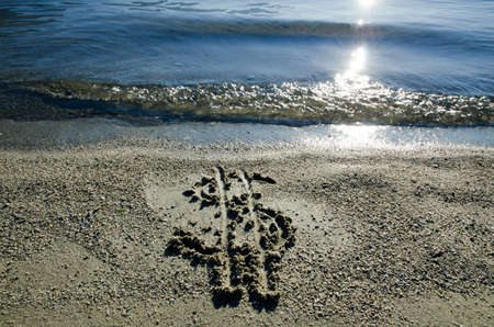 A high angle shot of a dollar symbol drawn on the beach- perfect for the concept of traveling agencies tariffsの写真素材