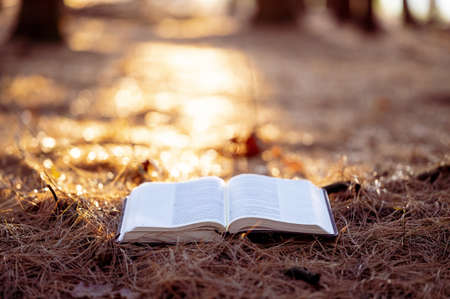 A selective focus shot of an open book on the ground