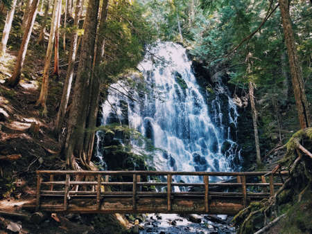 A beautiful waterfall and a wooden small bridgeの写真素材