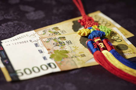 A macro shot of a Korean norigae jewel on a South Korean wonの写真素材