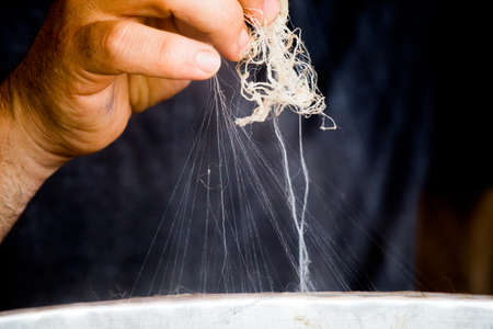 A man gathering silk thread for reelingの写真素材