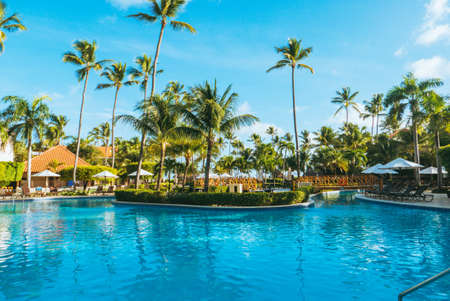 A beautiful swimming pool surrounded by palm trees under the blue sky