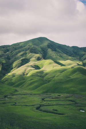 A vertical shot of mountains covered in greenery - perfect for mobileの写真素材