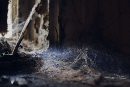 A closeup of a pile of dust with spider web in the corner of an abandoned creepy roomの写真素材