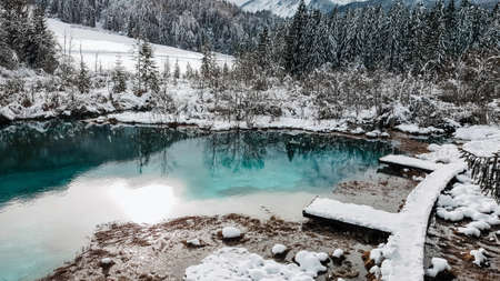 Lake Zelenci natue reserve in Triglav National park in Slovenia. Outdoor, snow, winter, scenery, no people, nobody.の写真素材