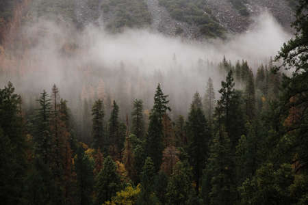 A stunning wide shot of Yosemite National Park in Autumn California, USの写真素材