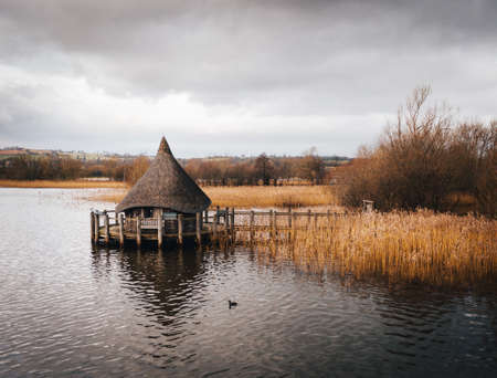 A shot of a wooden hut built on the lake surrounded by brown river caneの写真素材