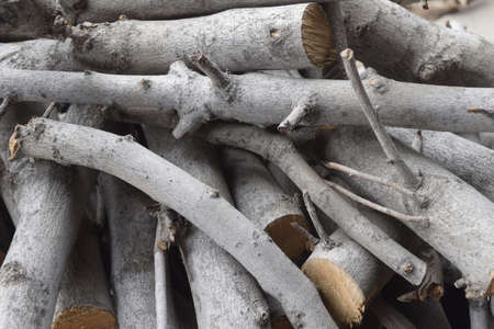 A closeup shot of a pile of stacked grey cut tree limbsの写真素材