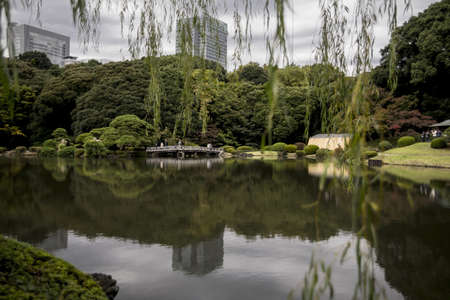 View of lake at Shinjuku Gyoen National Garden