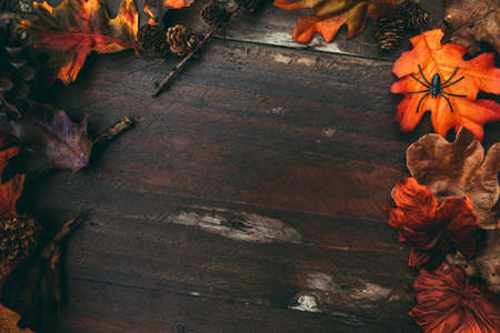 A Halloween wooden table with colorful leaves