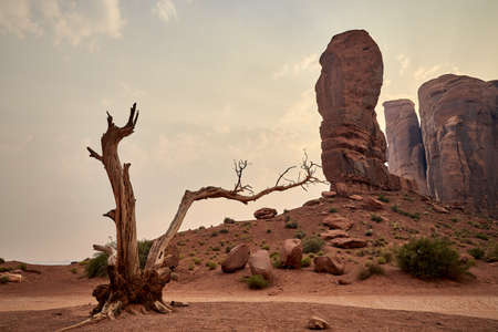 A beautiful scenery of mesas landscape in Bryce Canyon National Park, Utah, USA