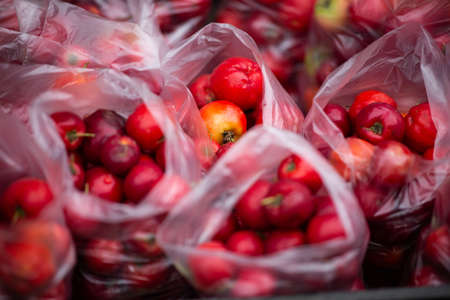 A closeup of red fruits and vegetables in plastic bags