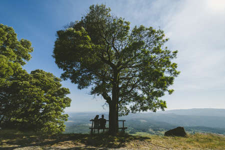 A beautiful view of a young loving couple sitting on a wooden bench under the tree on a sunny summer dayの写真素材