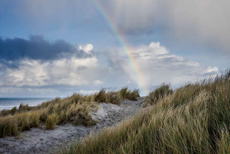 A beautiful rainbow over the ocean captured from the grass-covered beachの写真素材