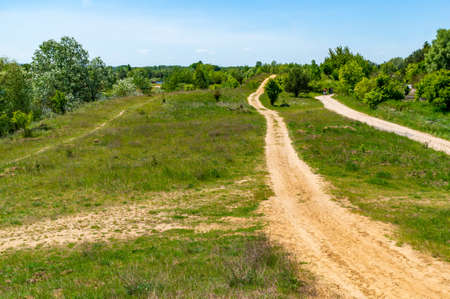 A scenery of an open field with trees and a dirt road captured during the daytimeの写真素材