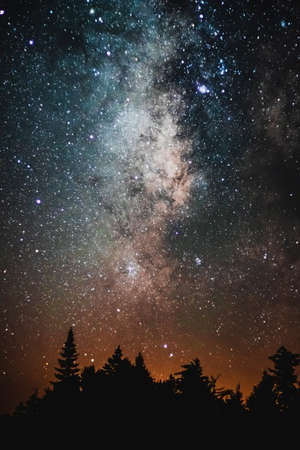 A beautiful scenery of the Milky Way galaxy in the night sky over a range of treesの写真素材