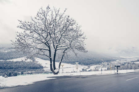 A beautiful shot of an empty road with trees and hills on the background covered in snowの写真素材