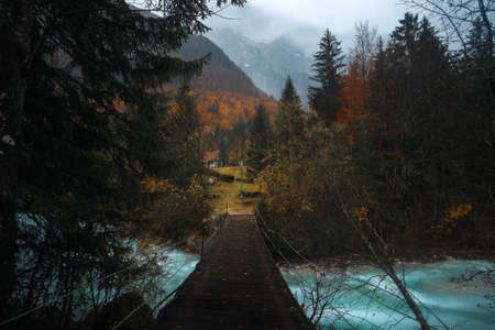 A beautiful shot of a wooden bridge above the river surrounded with trees in the forest