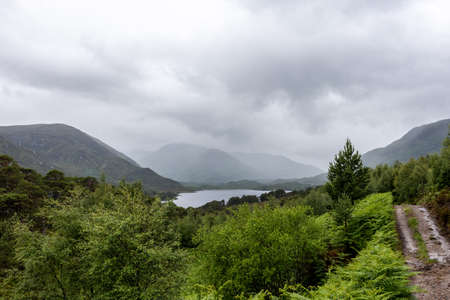 A Glen Affric path on a rainy day in Scotlandの素材 [FY310188026130]