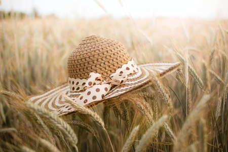 A selective focus shot of a wheat field with a straw hat on the foreground
