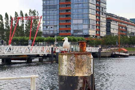 KIEL, GERMANY - Mar 22, 2020: View at the port of Kiel with some ferry shipping, small boats and seagulls.のeditorial素材